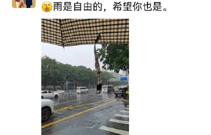 【挽救粤俗  粤人有责】<br /><br />          有...