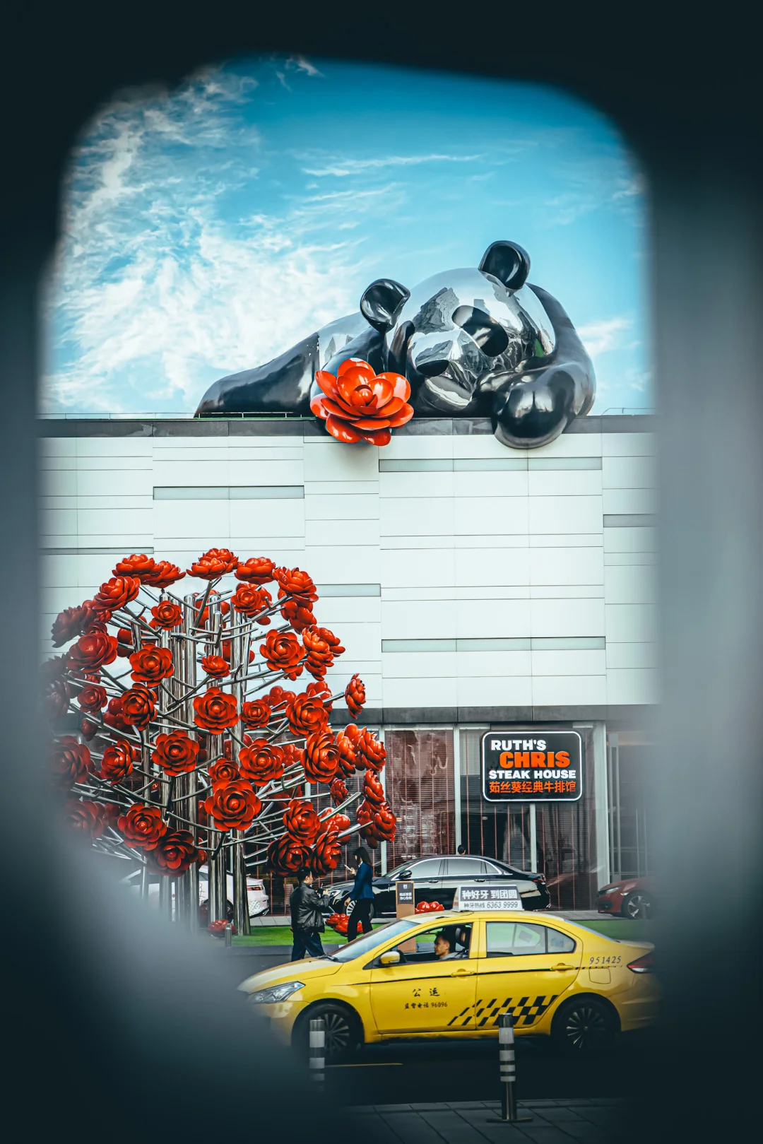 99%来重庆的朋友都不知道的大熊猫打卡攻略