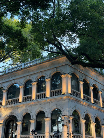 沙面岛 如果天气再凉爽点 逛起来会很舒服😌
