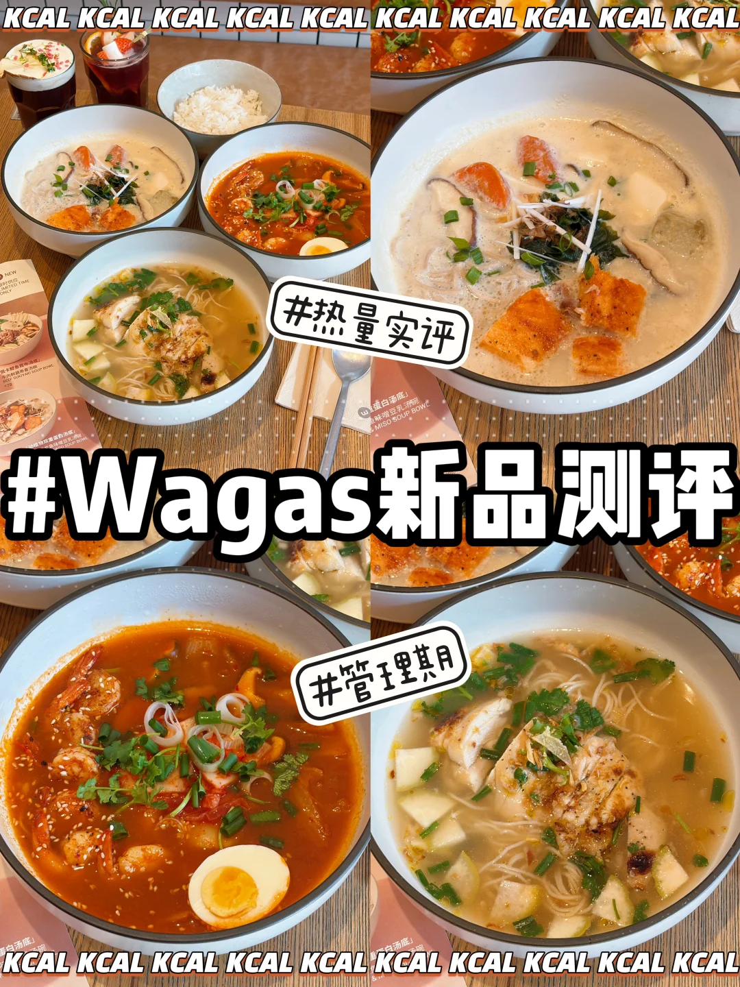 新品吃上了🔥3款能量汤碗‼️wagas热量测评