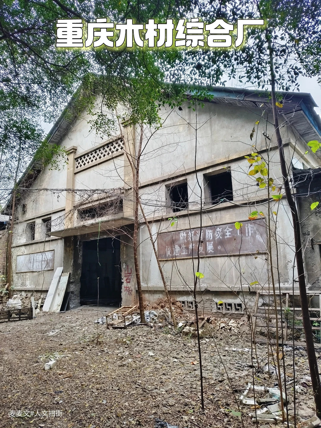 【大渡口】木材厂的落叶与废弃建筑太好拍