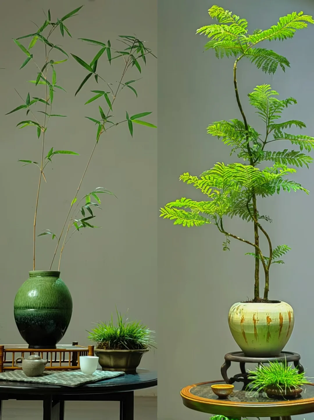 “没点艺术细胞还真刷不到我”
