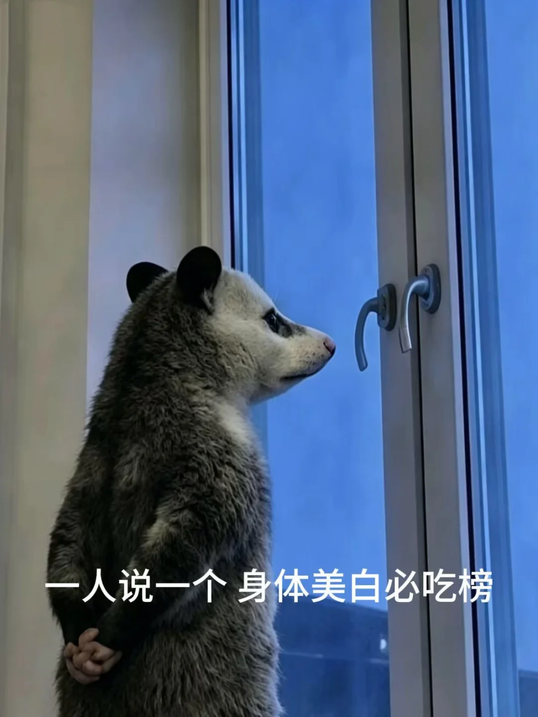 夏天想要变白的心情达到顶峰。。。