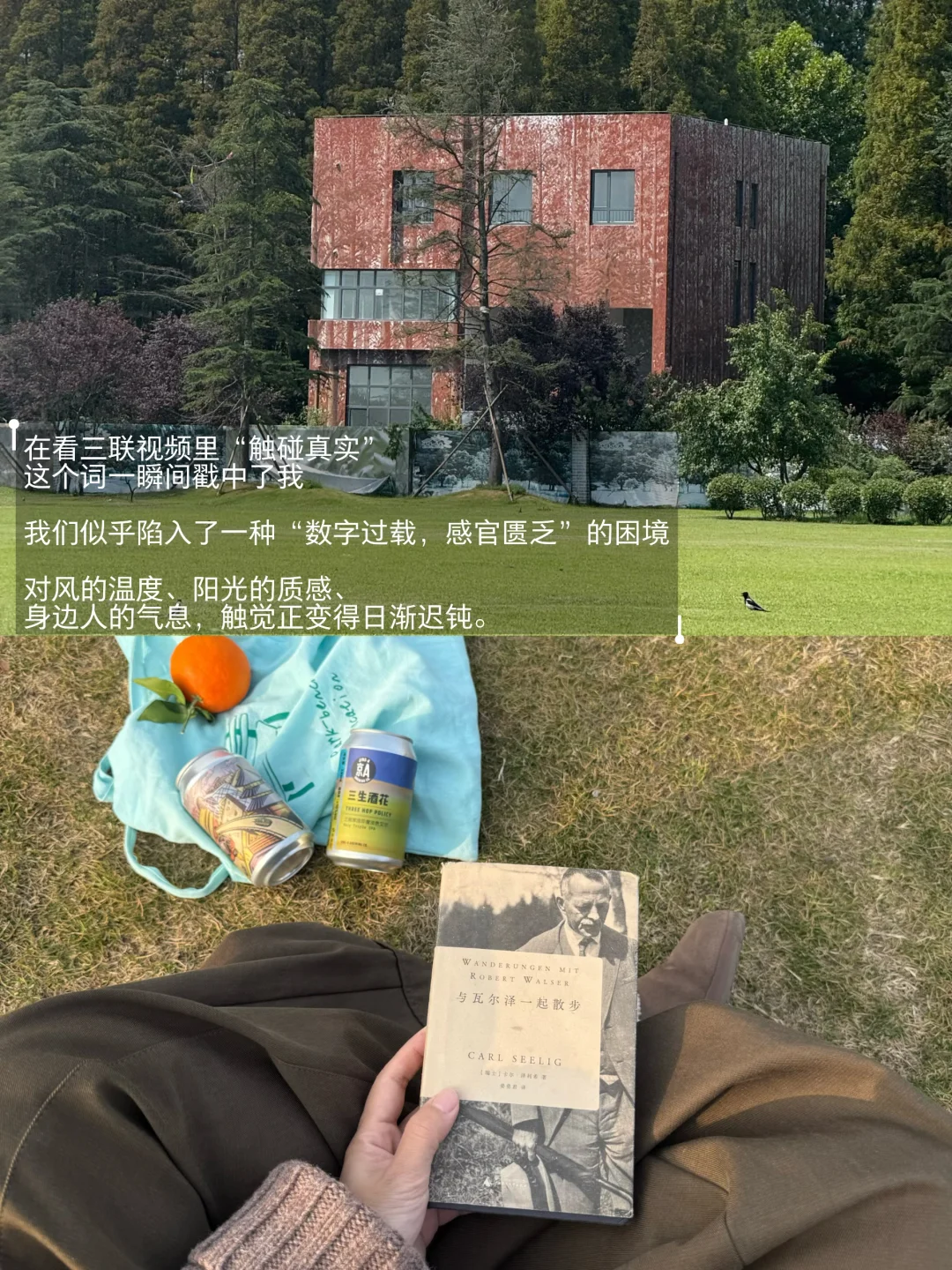 一定要去触碰真实而具体的生活。