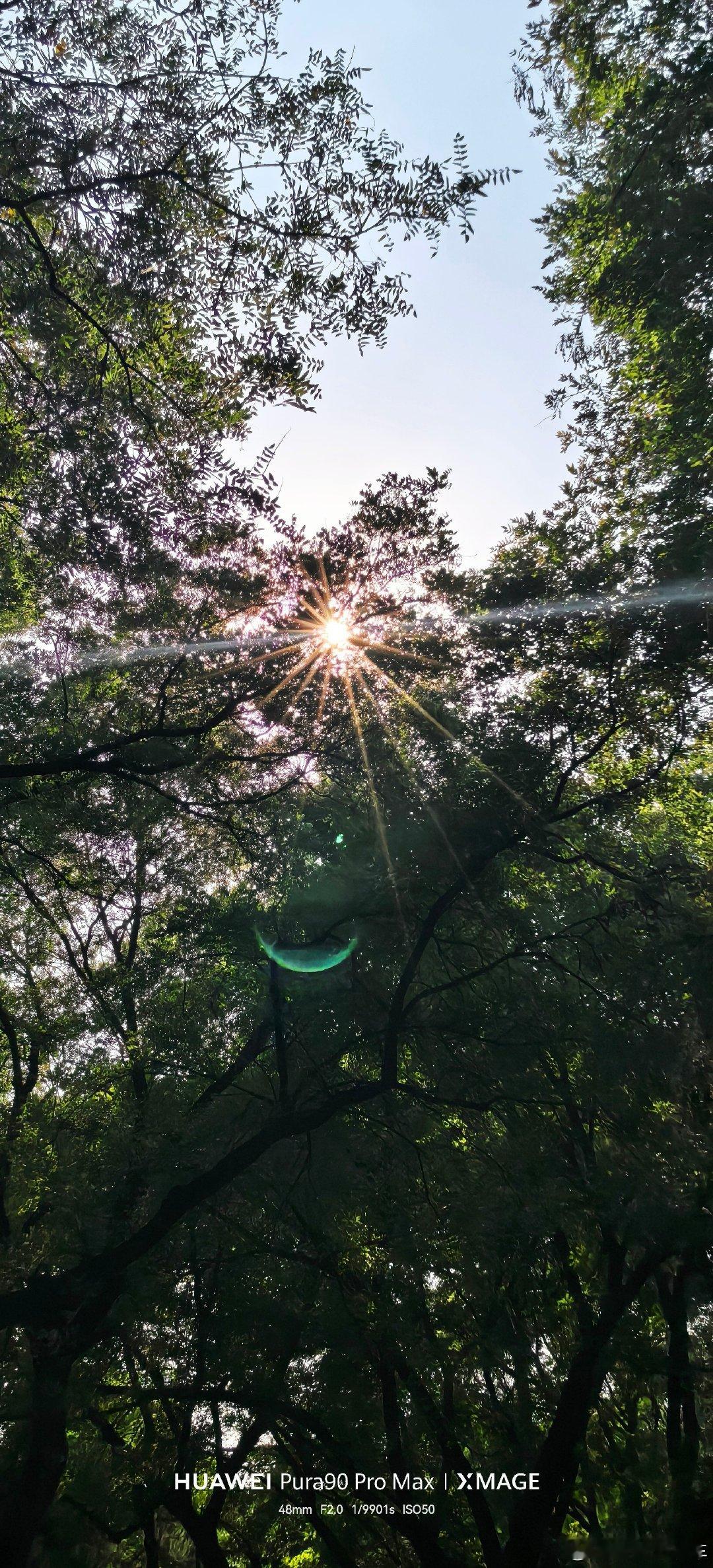 当丁达尔效应出现的时候… ​