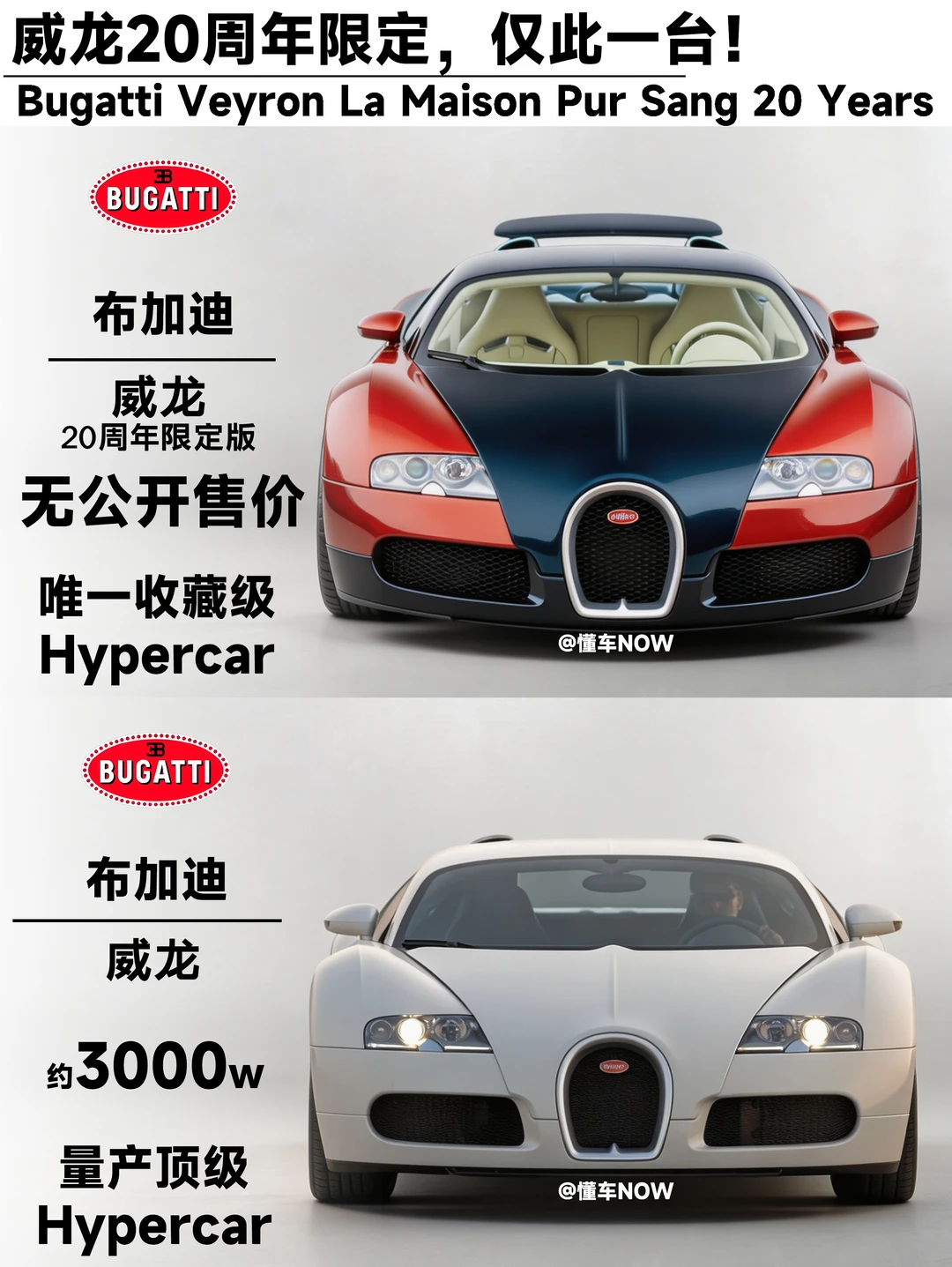 红蓝撞色+大脚 | 威龙20年定制孤品！
