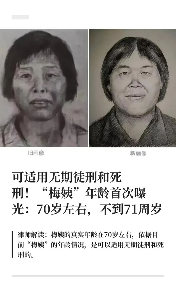 可适用无期徒刑和死刑！"梅姨"年龄首次曝光
