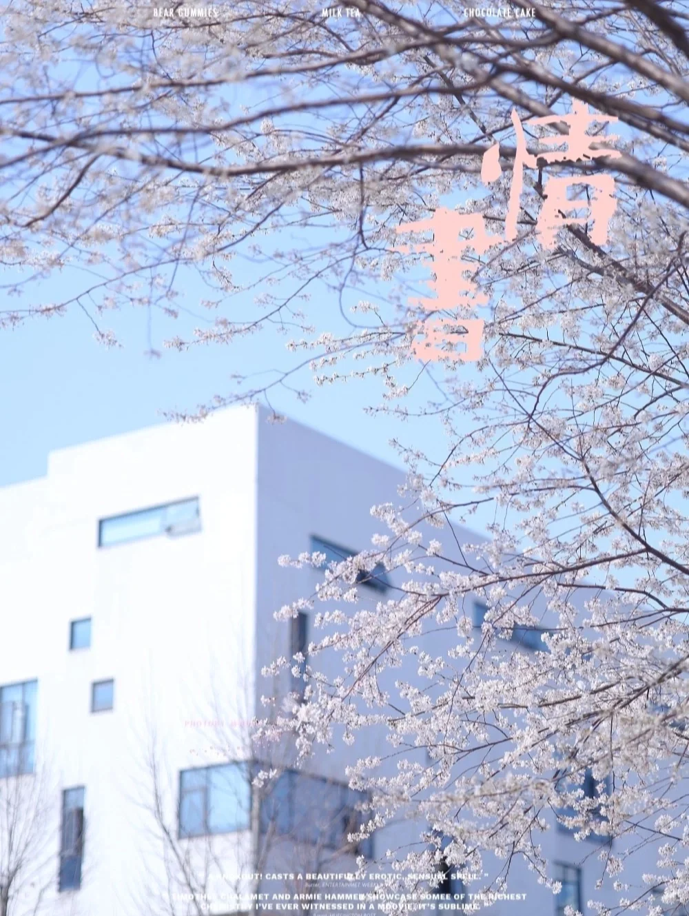 美哭❗️武汉小众无人樱花，走进日系电影