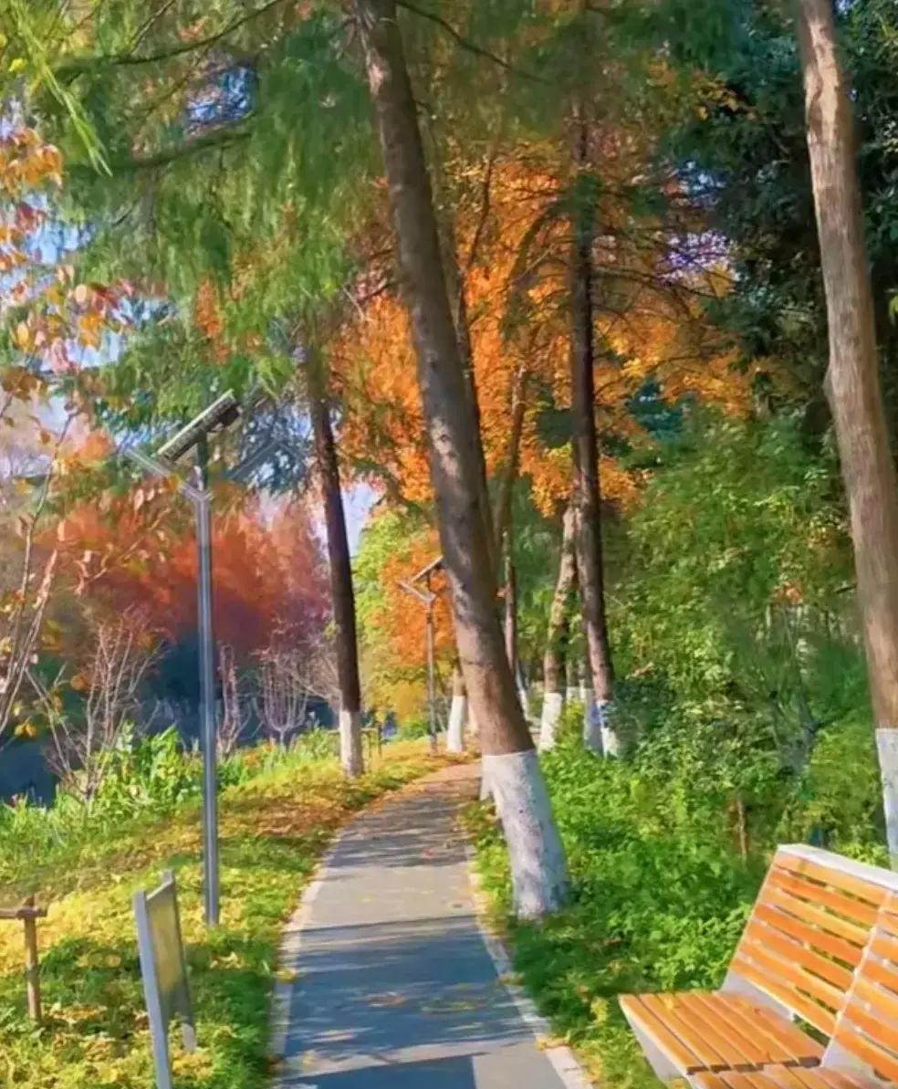 结婚28年，54岁老公每晚非要搂着睡，我半夜冻醒扯不动被子，他却说：&...