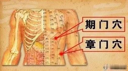 9月20日北派实时，北派古法长生图，强通八万四千气脉，中医穴位流注，返老还童，长寿过百岁。明日，丙午马年八月十一，期门穴，午时，吉。明天午时，大家艾灸期门穴，21分钟，可复原附近一条小气脉。这条小气脉，北派长生图称“橻和脉”，通肝脾气脉，比头发稍粗，在人出生后三十岁左右断掉，人体开始肝脾疾病，诡异皮肤病，腹胀，衰老。期门穴，道家小周天必通大穴，和章门穴都属于北派龙虎鼎奇穴，疏肝理气，V店坛火反馈，期门穴有湿气，逼近章门穴，就是肝脾疾病隐患，排毒不畅，26天左右发病，要尽早检查治疗。