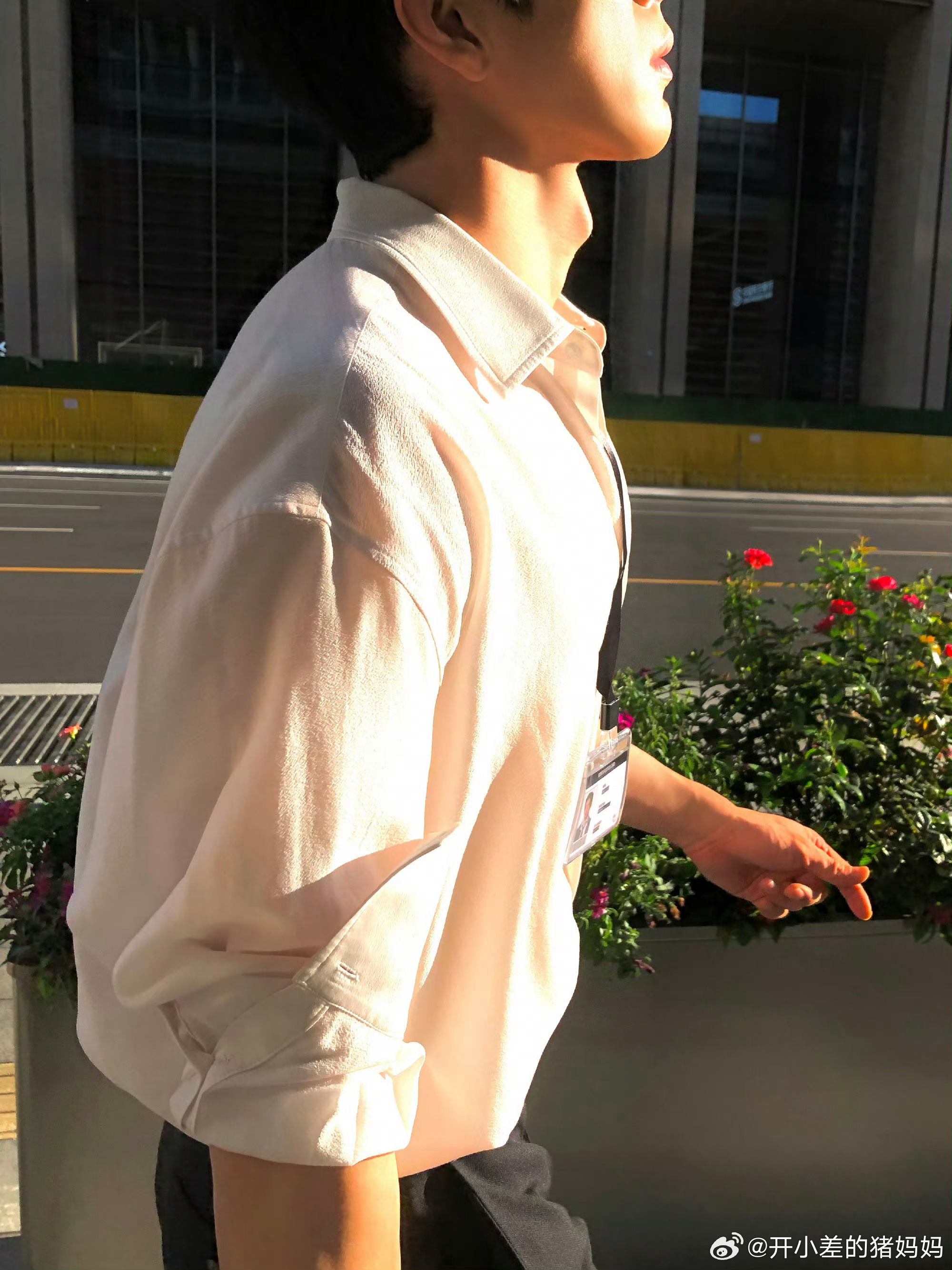 井柏然工作室9月2日放出的一组国贸CBD“Luke下班”街拍，因捕捉到角色罕见的松弛精英感，被网友评价比《早春晴朗》正片更贴合栾念本人。  一、一组引发热议的实景街拍- 发布规模：9月1日被路人偶遇拍
