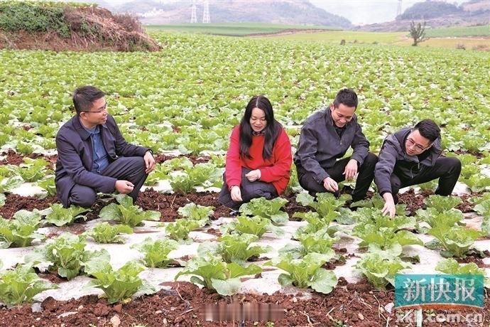 “能把自己的专业和经验用到更需要的地方，为区域协调发展、乡村振兴出一份...