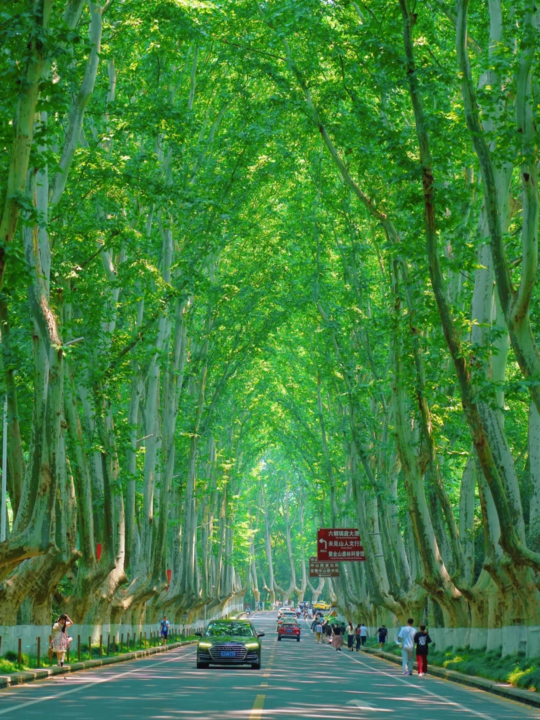 南京旅行后劲太大了😭，听听我的真实感受！