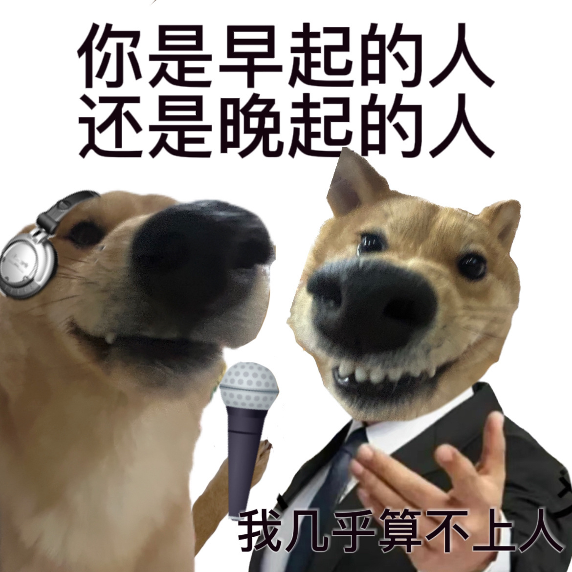 小狗发疯表情包