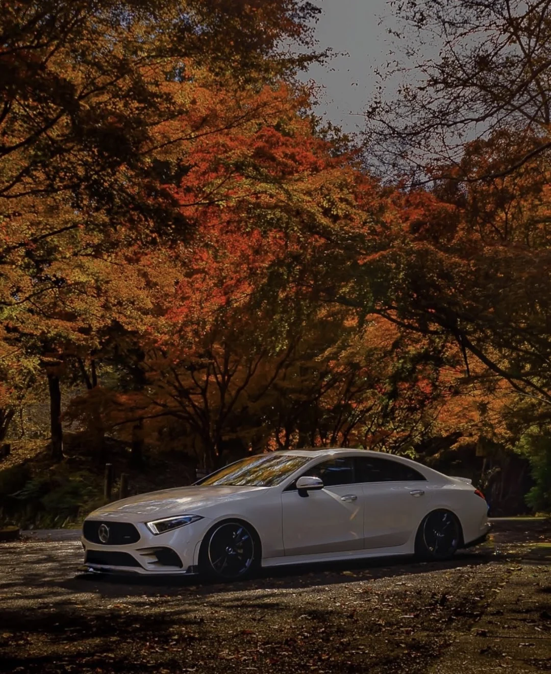 你是从什么时候知道奔驰CLS的？小时候？