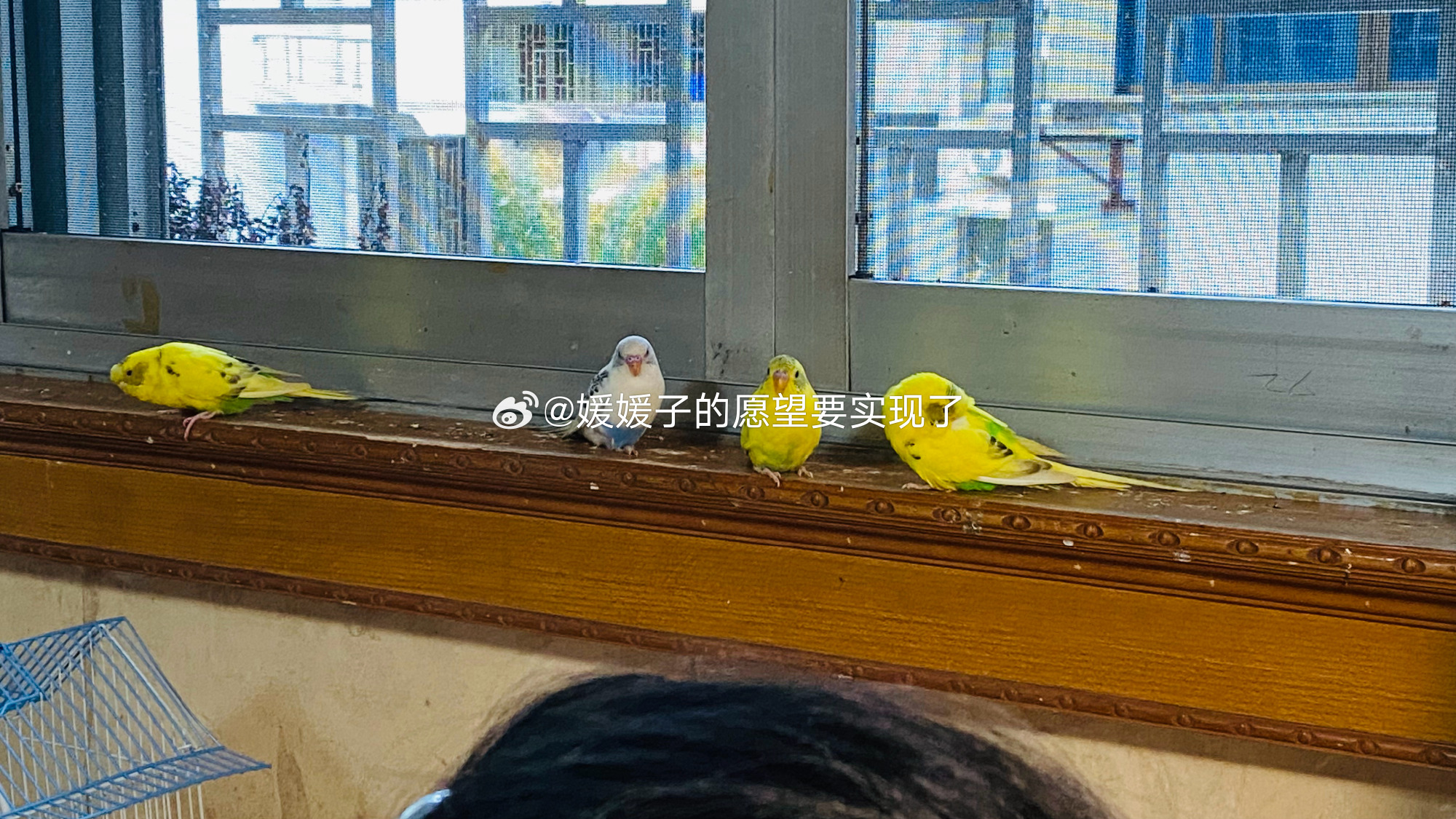 也是吃了很多波 ai 福利  之前点一盘饺子 15 个，加一份青菜，饺...