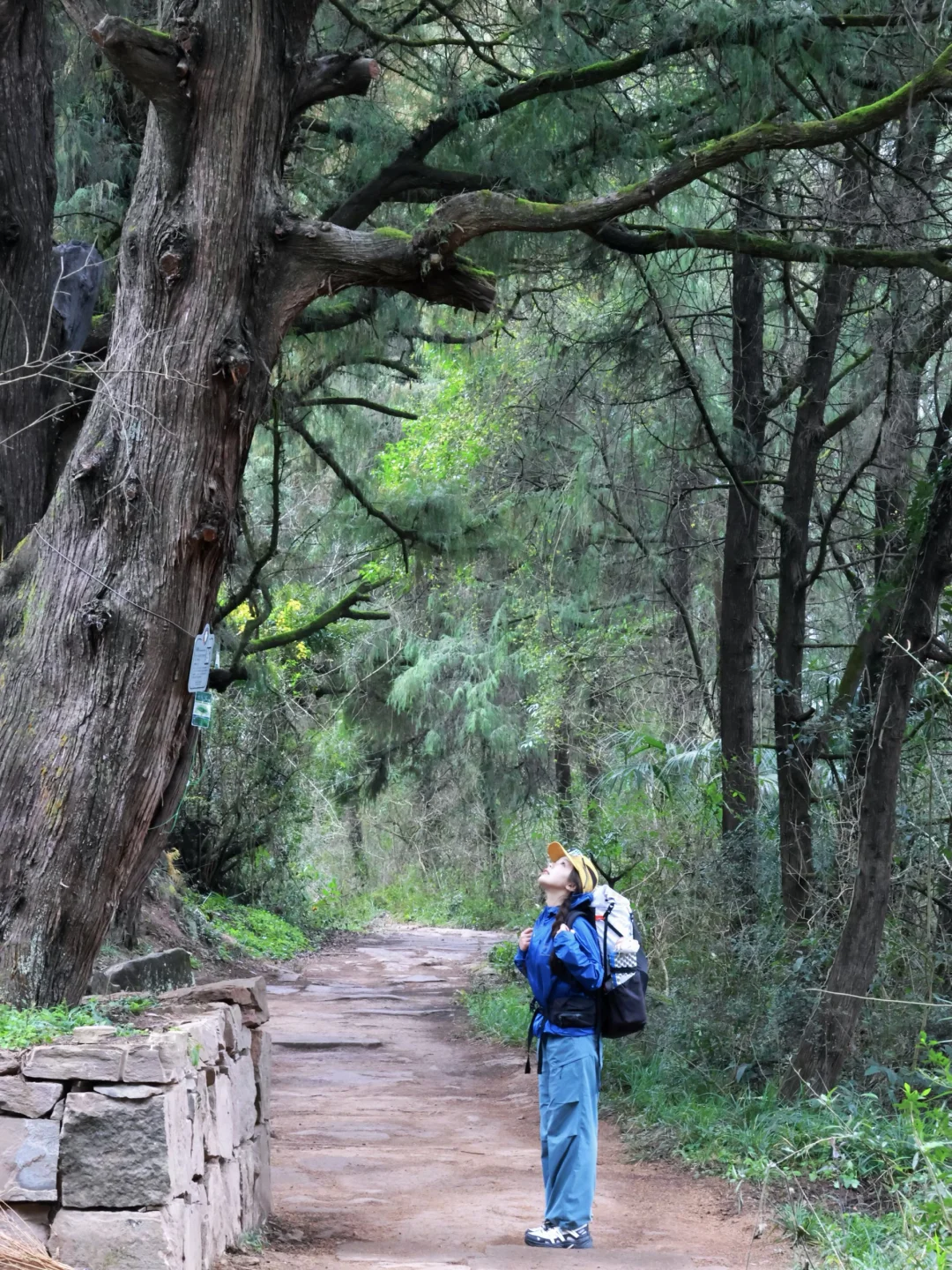 在金牛古蜀道穿越千年🌲2天1夜徒步攻略！