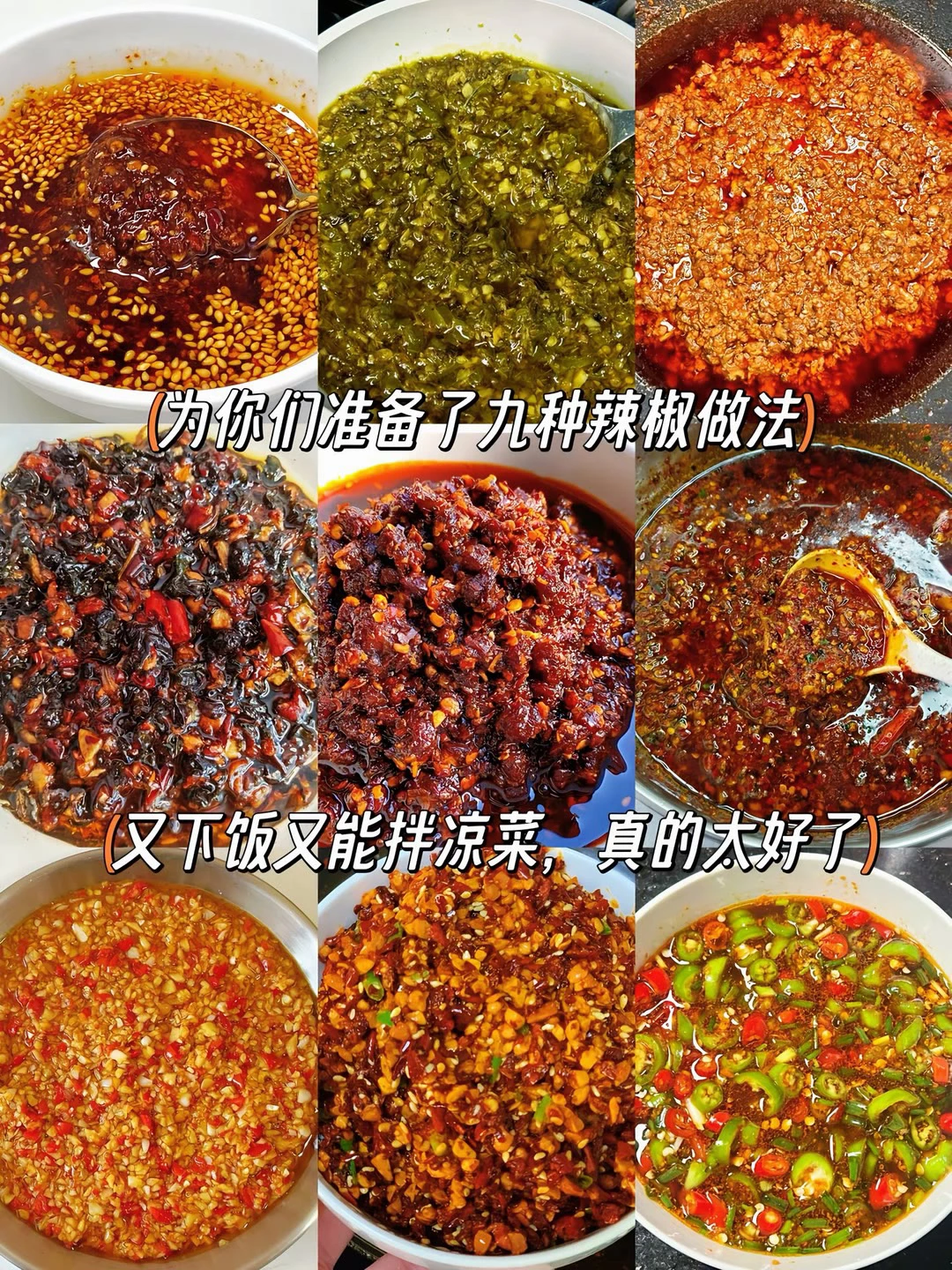 九种辣椒做法、又下饭又能拌凉菜、真的太好