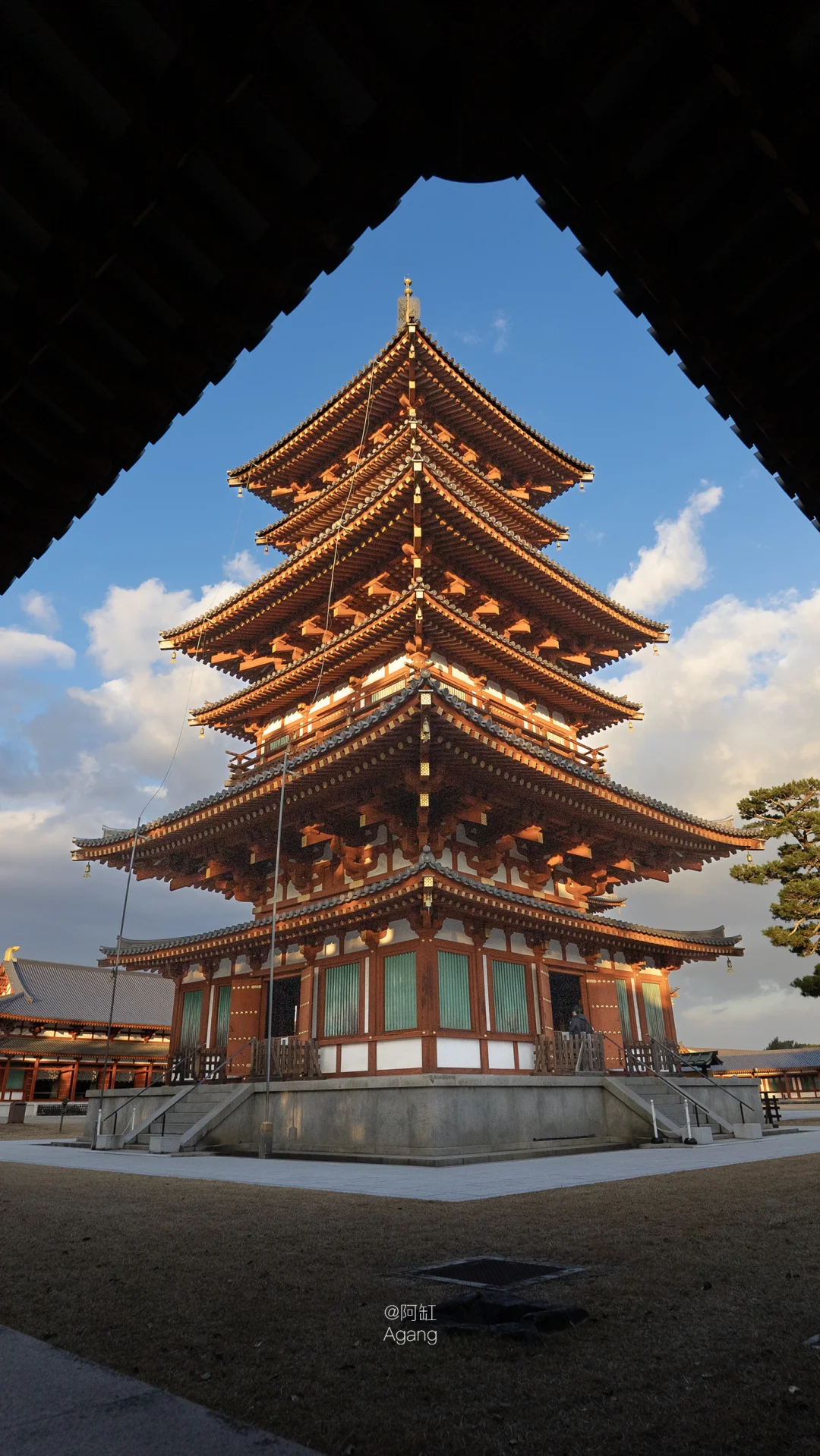 夕阳下的药师寺