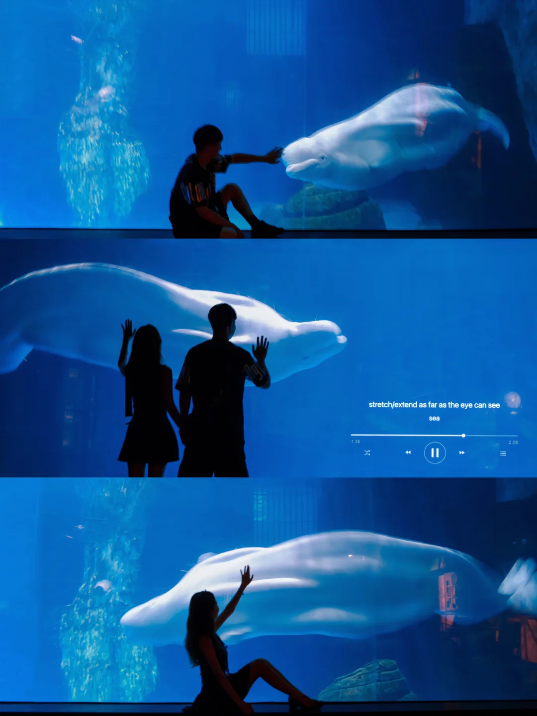 在武汉‼️总要和心爱的他去看看海底万里吧🐋