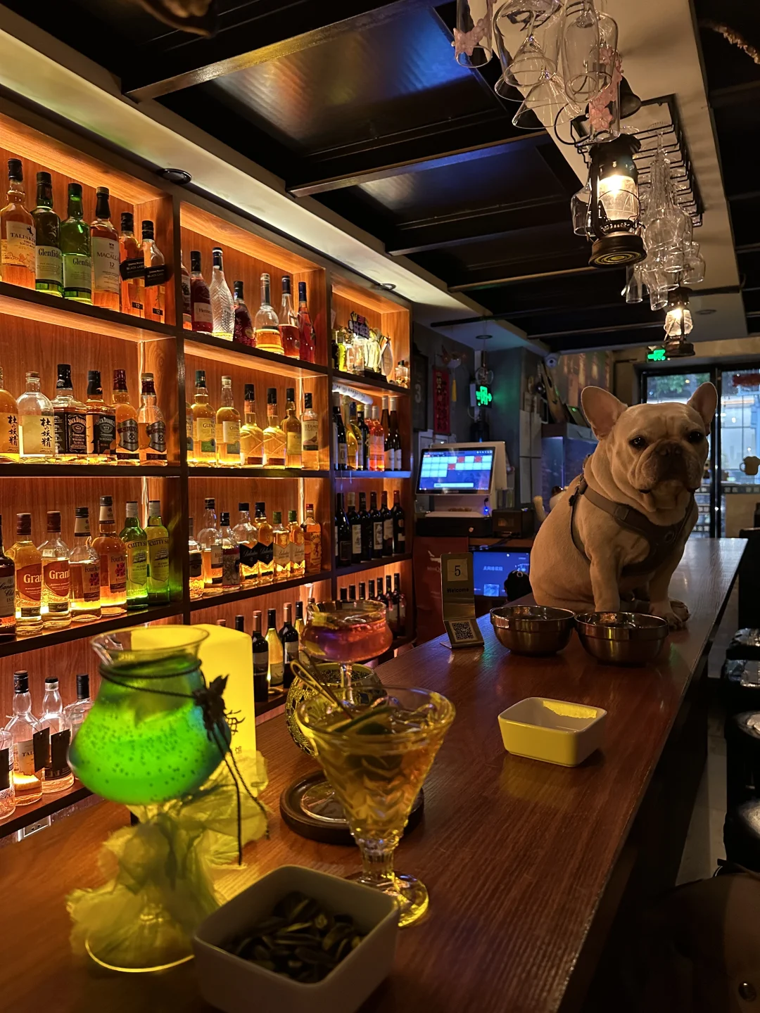 珠江新城宝藏酒吧！撸法斗微醺超爽🍹