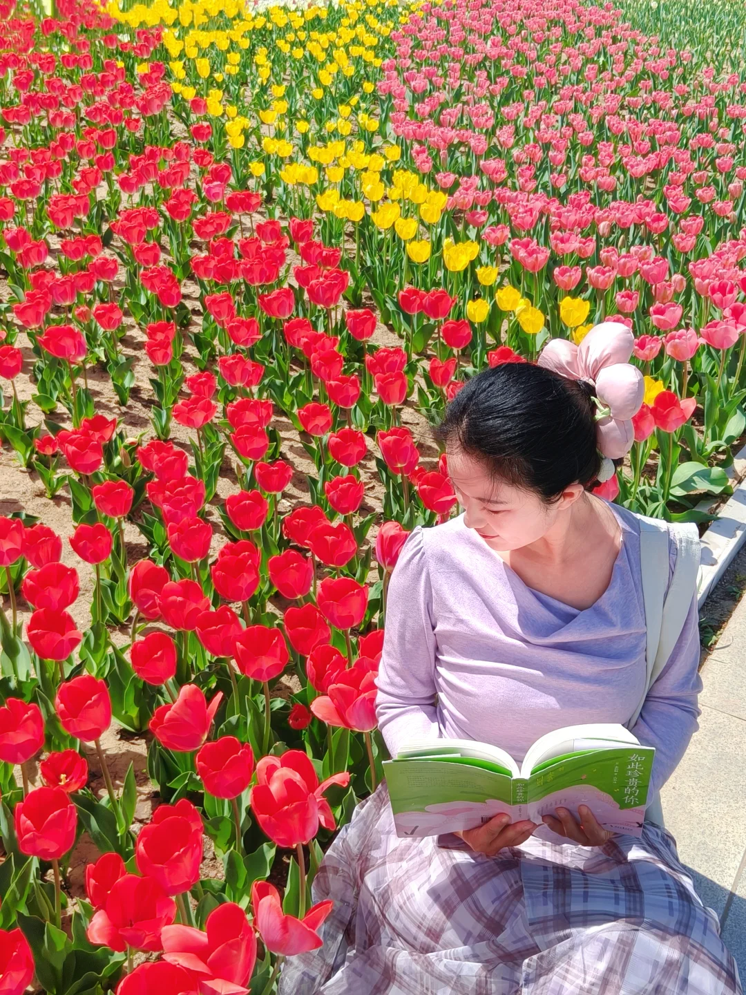 4.5实拍天津郁金香开了‼️免费！人不多