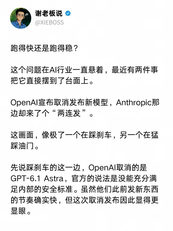 笑了，A社一边呼吁慢下来一边模型两连发