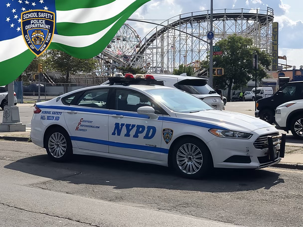 NYPD 详解——SSD 学校安全处
