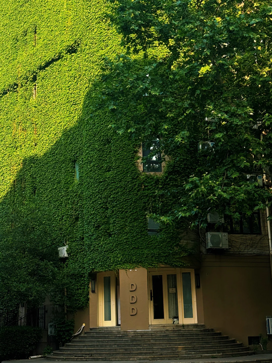 在上海最好玩的地方都是🆓免费（附地址）