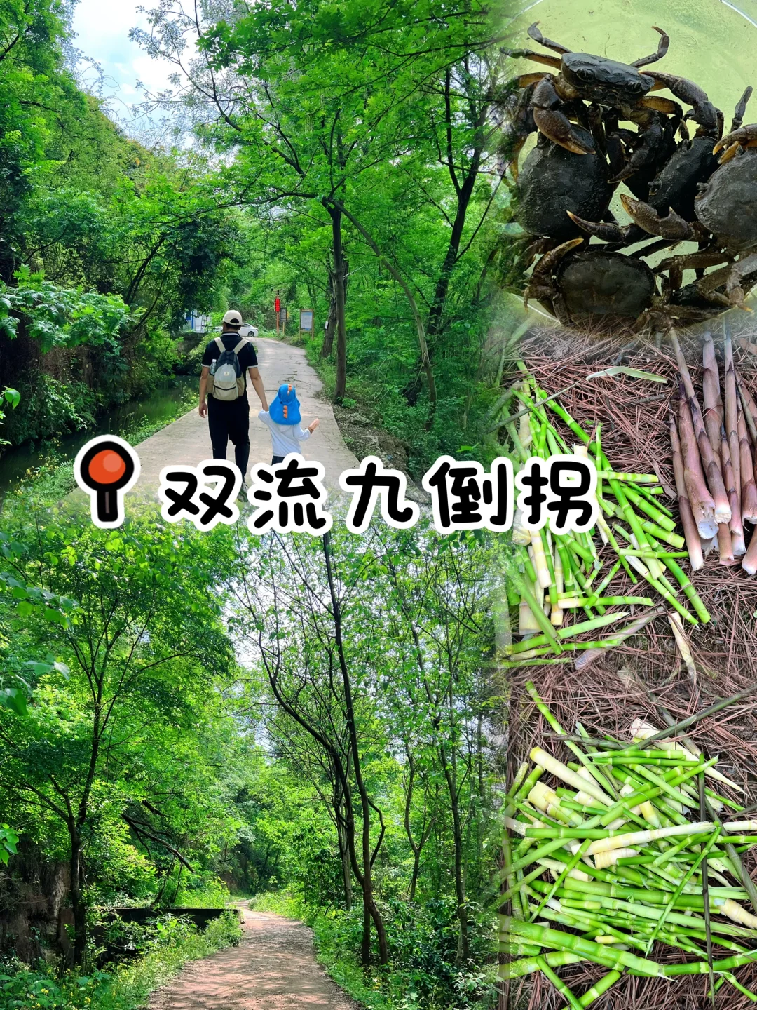 山野户外‼️超小众冷门徒步🉑挖笋 抓螃蟹