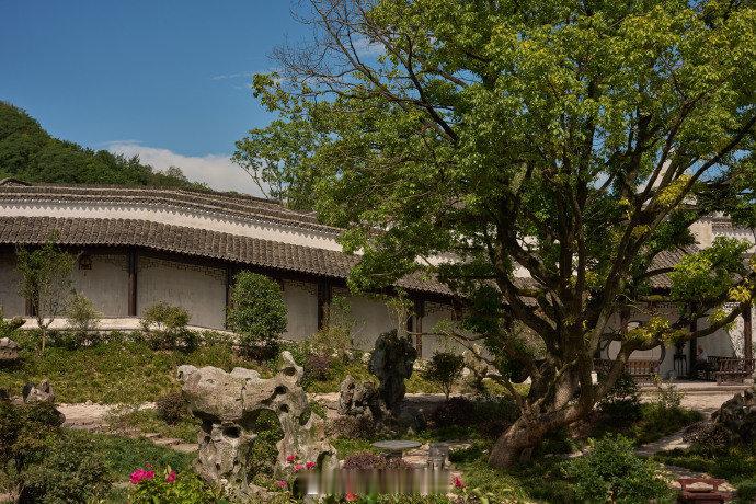 #谭松韵刘学义打卡南京园林#两个人逛南京园林，发文瞬间梦回兰香如故#谭松韵刘学义南京游园# ​