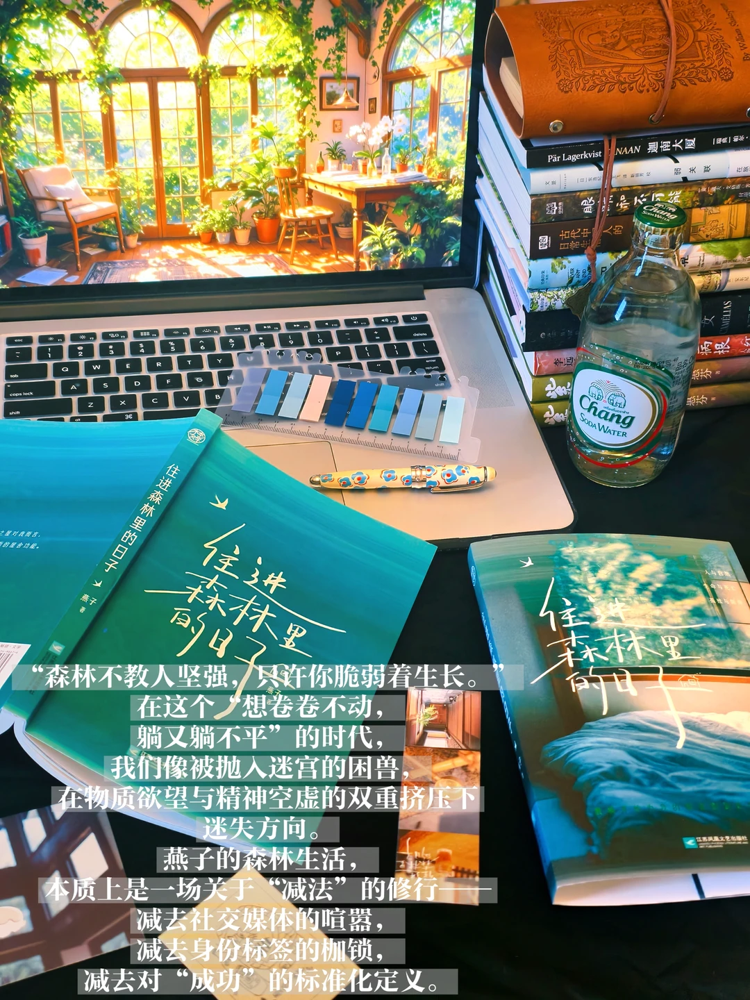 🌿与燕子归林：在无常里种一树自己的花