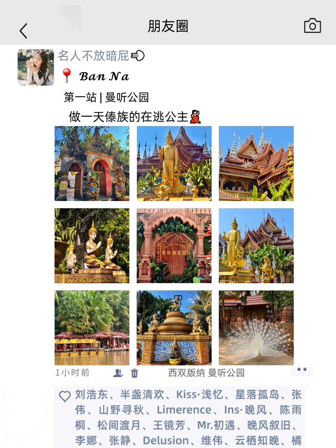 去西双版纳玩，真的有人发了11条朋友圈😂