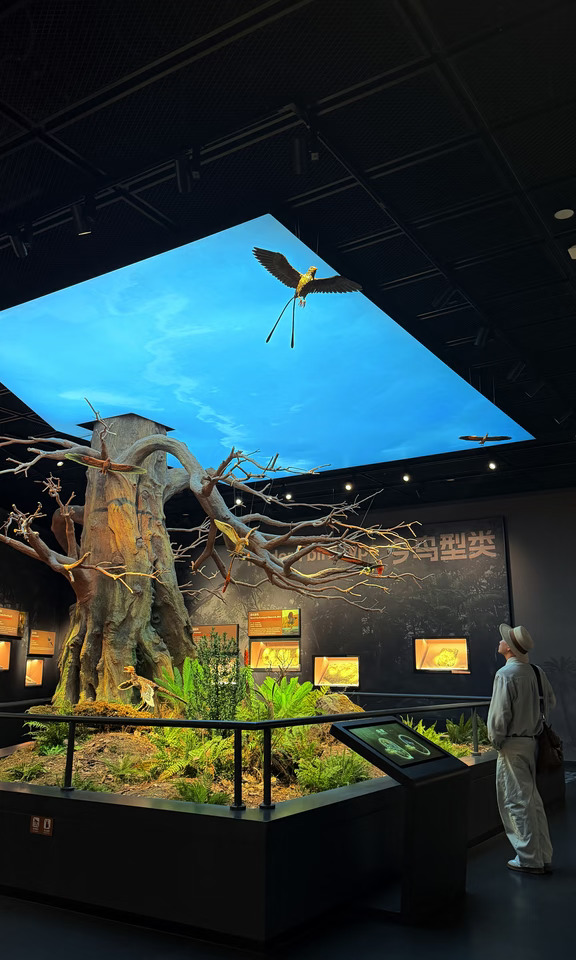 我听了于适的话，去了遍地是化石的东北小城