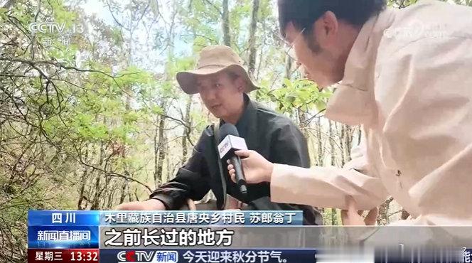 #宁波鄞州协作发展菌菇种植撑起村民共富伞#东西协作牵线，林海点绿成金。鄞州帮扶团队立足木里本土资源，落地特色菌菇产业项目。宣洼基地多品类食用菌错峰种植，保障常年产出。“借棒还菌” 的低门槛模式，降低农户起步资金压力，保底收购机制兜住市场风险，让林下种植成为当地群众稳定增收的好门路。 ​