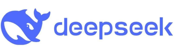 🤖DeepSeek 押注机器人大脑