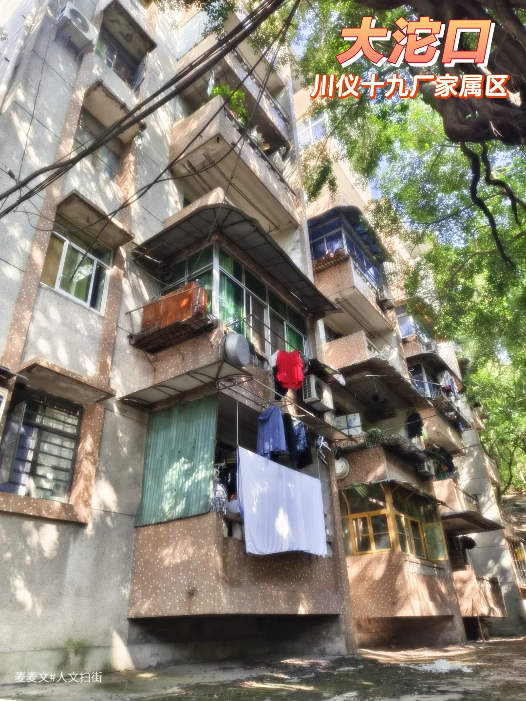 【北碚】盛夏跟着喵星人逛川仪十九厂家属院