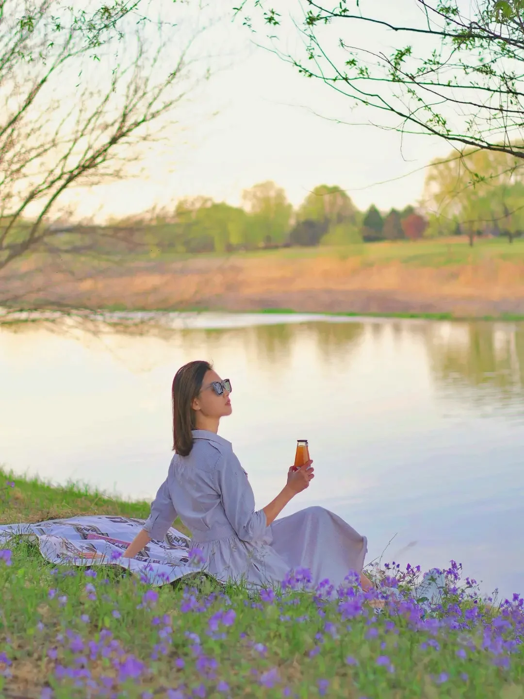 北京二月兰花海中露营‼️春天的户外太美好