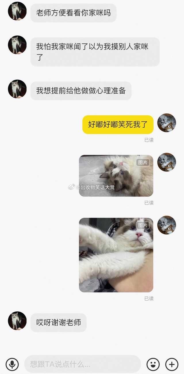 8206猫儿这个醋劲大 ​​​