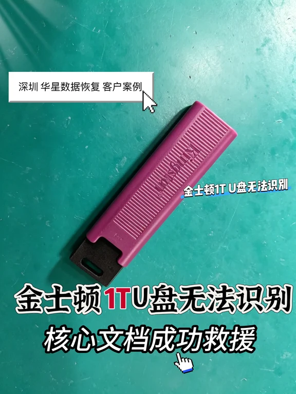 金士顿1T U盘无法识别，核心文档成功救援👍