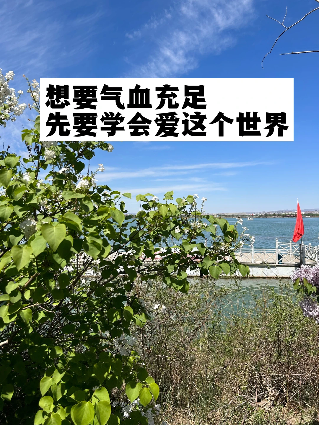 想要气血充足，先要学会爱这个世界！