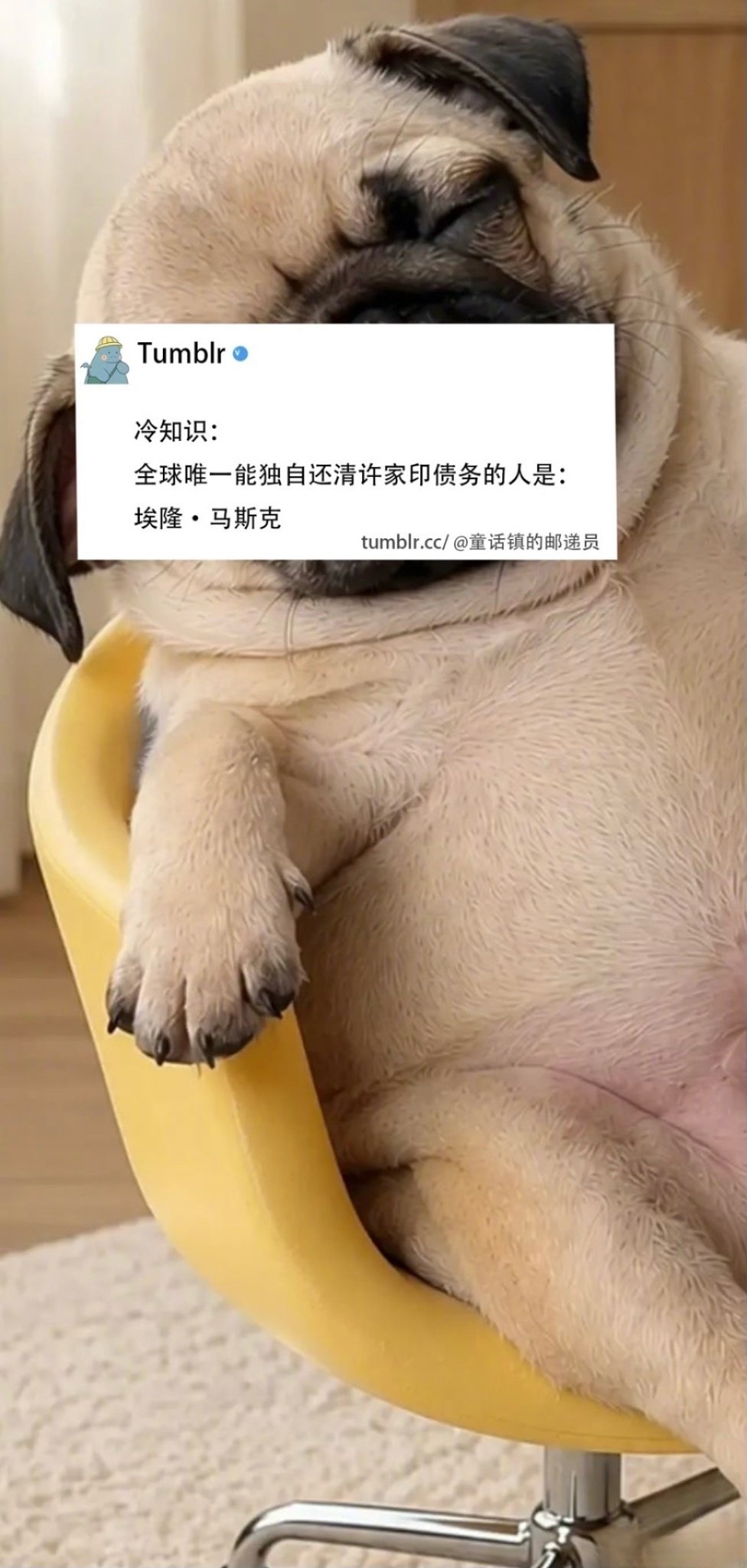 全球唯一能独自还清许家印债务的人：埃隆・马斯克。 ​