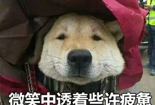 AC米兰在欧联杯首轮主场迎战本菲卡，这本该是一场普通的小组赛，却因为意甲如今的处境变得格外扎心。上赛季意甲七支球队出征欧战，到最后全部出局，一支都没能撑到决赛。国米在联赛里一骑绝尘，可出门踢欧战，意大利足球的门面还是得靠米兰和尤文来撑。说到钱更扎心，意甲现在一年的转播费总共才八亿多欧元，国米作为冠军
