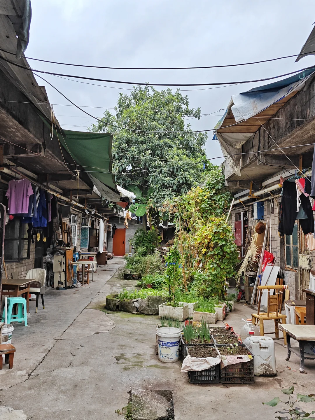重庆的大庆村(citywalk365)