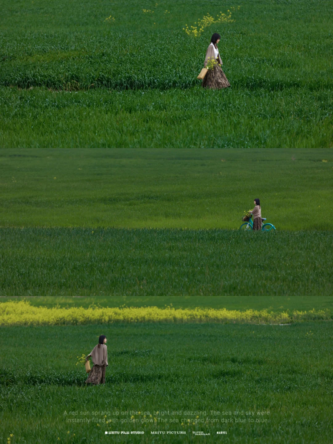 不用去大理，成都也有自己的风吹麦浪