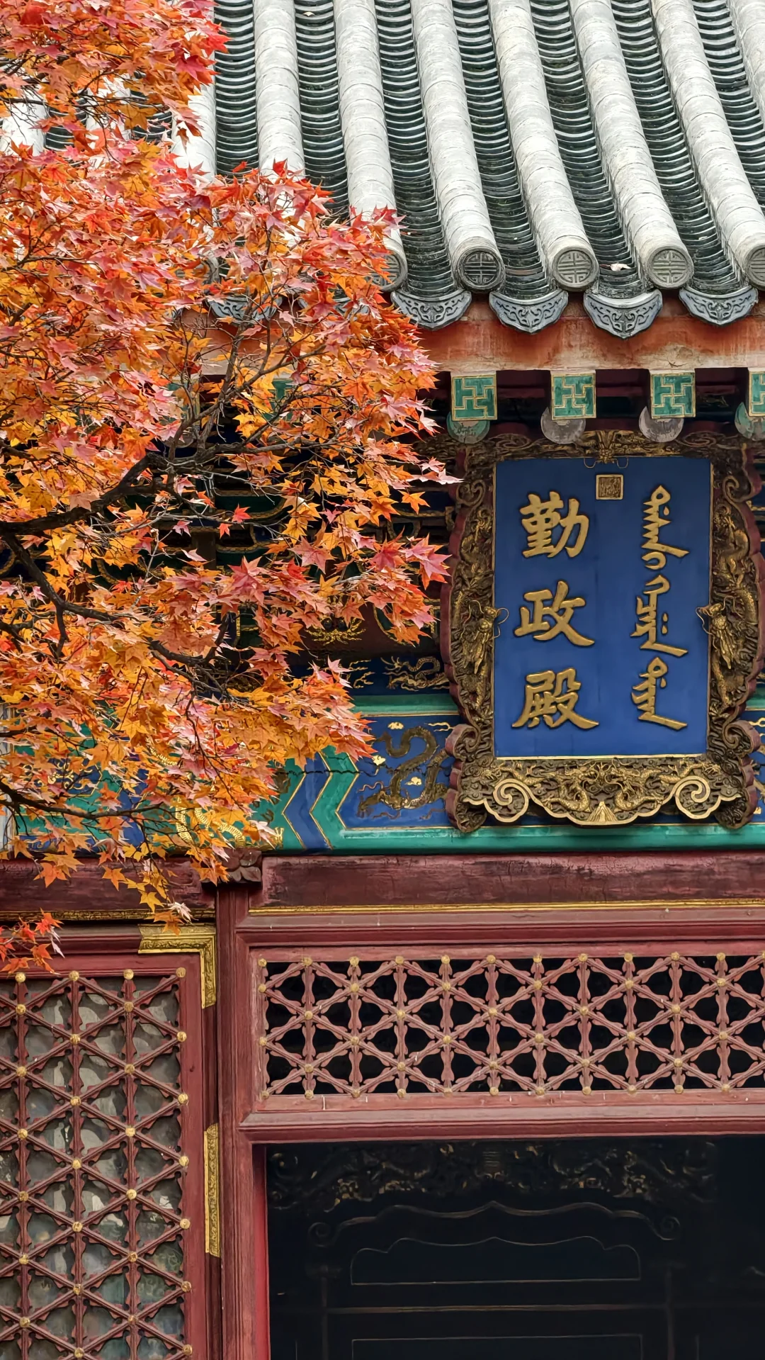 历史的痕迹，仿佛就在眼前重现‼️