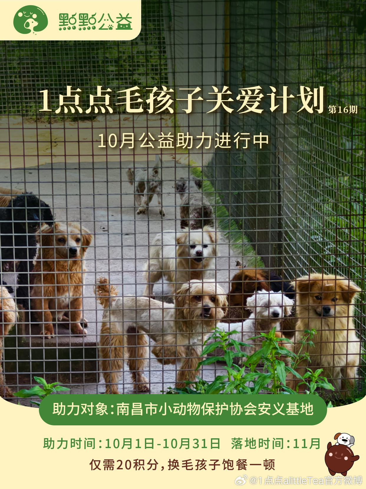 第16期公益助力开启｜10月，给毛孩子筹粮！
 
📆筹粮征集期：2026年10月1日 – 10月31日
📆救助执行期：2026年11月
 
📍爱心救助基地：南昌市小动物保护协会安义基地
基地由南昌小动物保护协会成立于2013年。目前基地收容370余只流浪、残疾毛孩子，由专职人员和志愿者负责喂养、医治照料，同时开 ​
