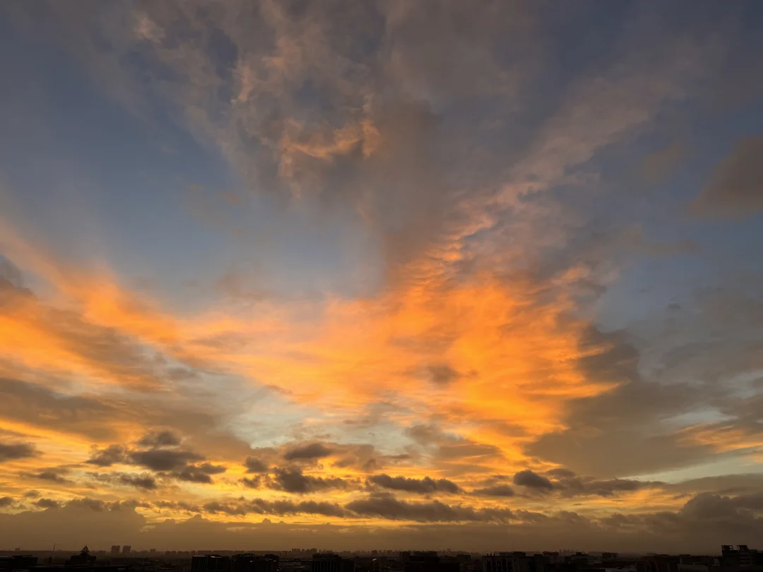 7月22日上海朝霞