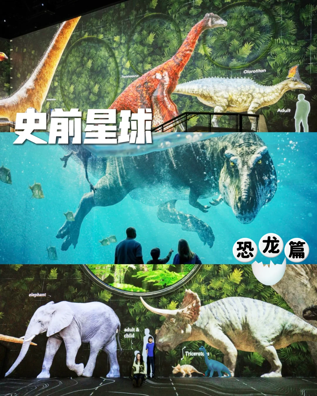 震惊😱豆瓣高分的史前星球在上海能看了