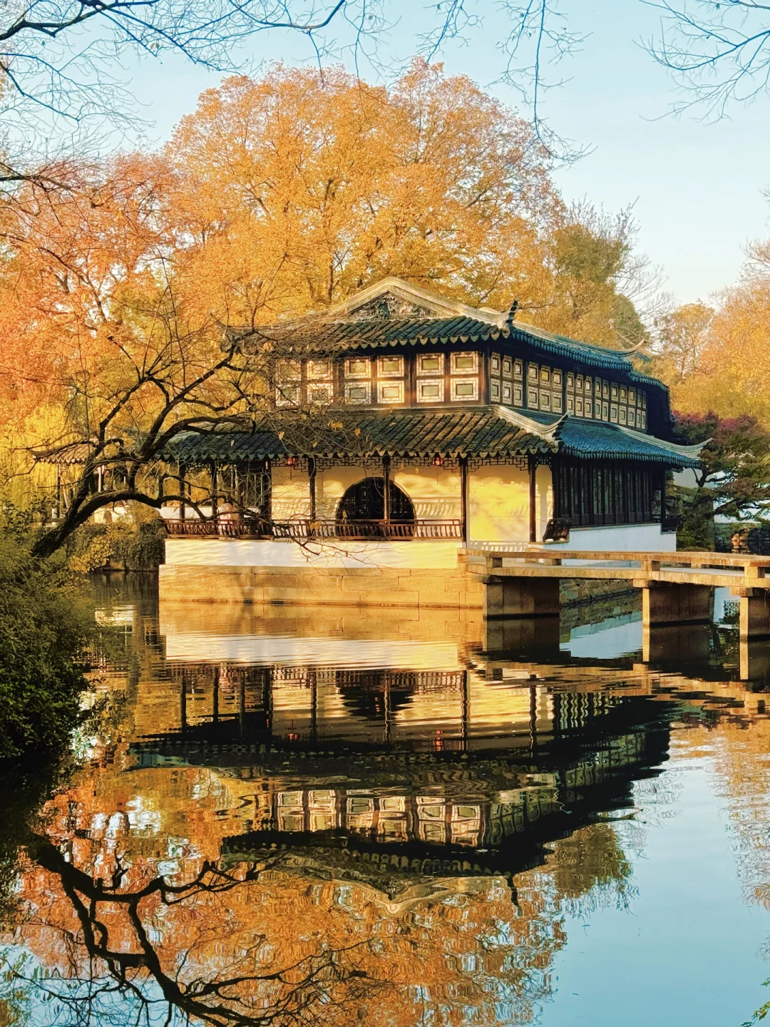 18张live告诉你这个月的苏州有多美🍂